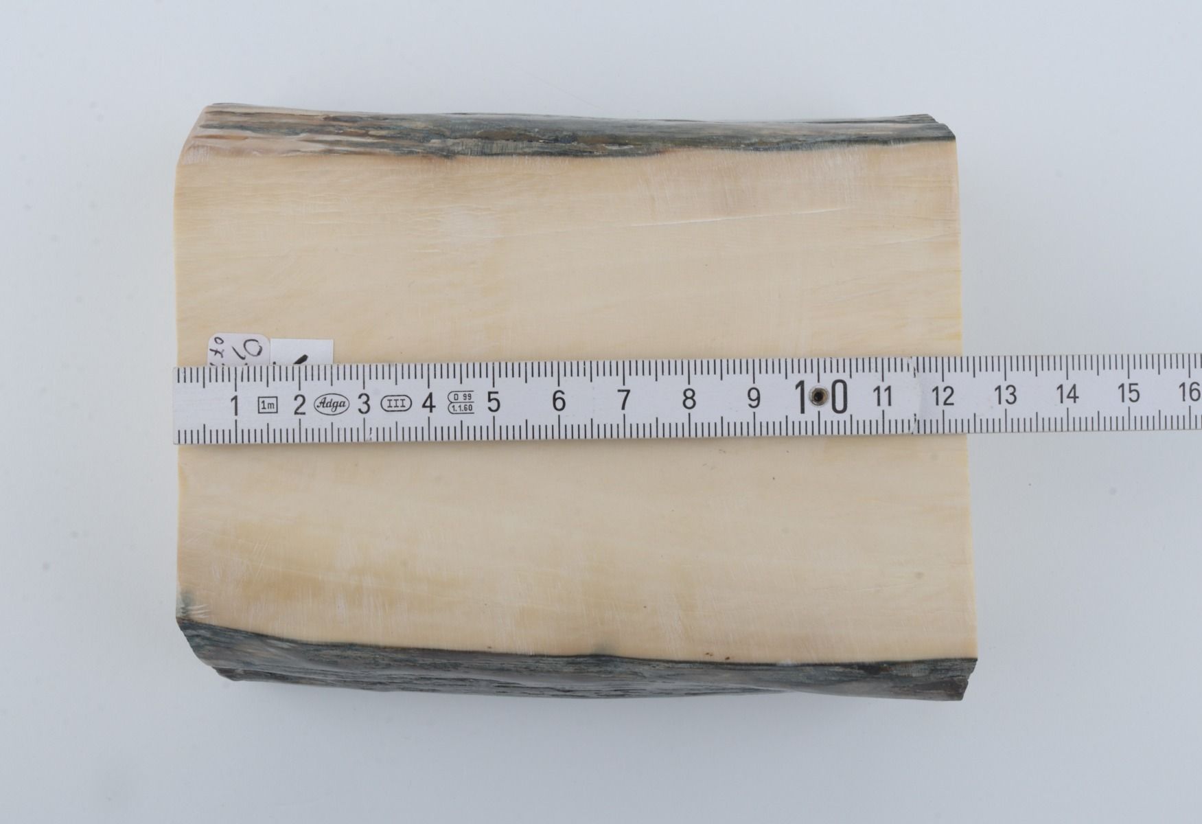 White mammoth ivory segments