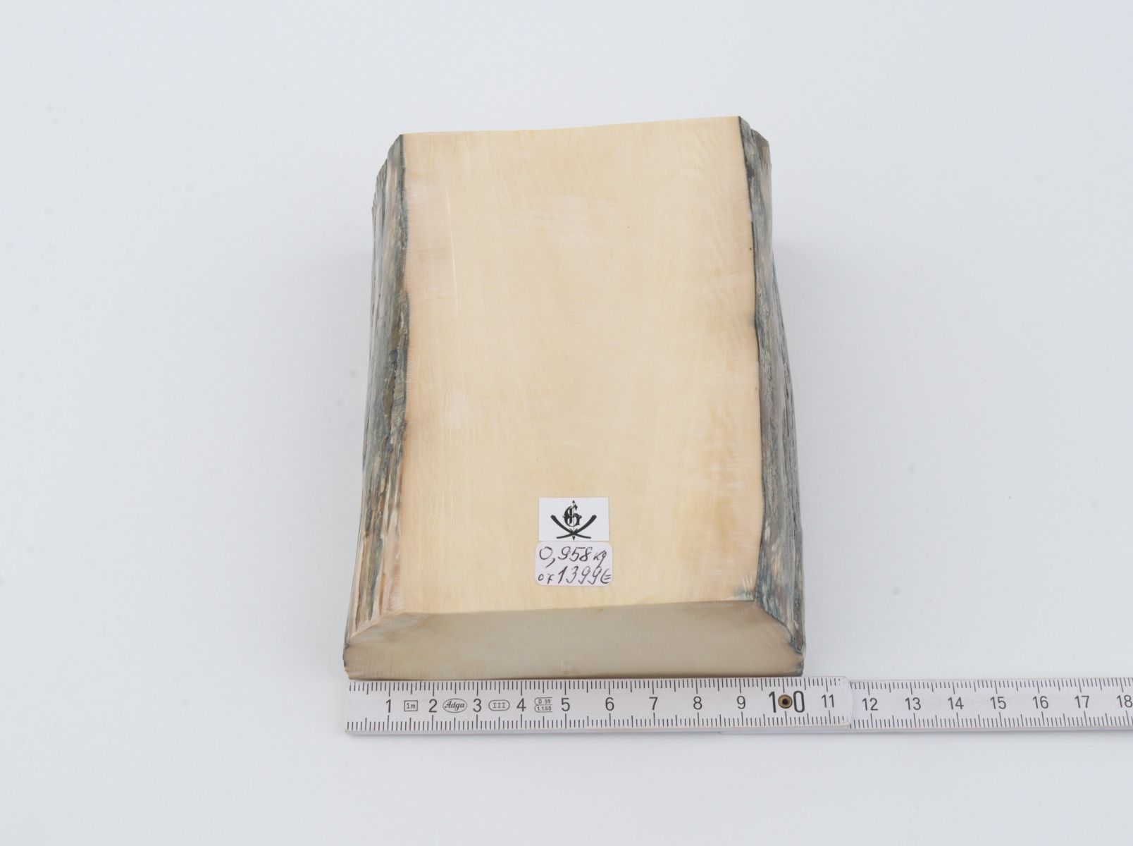 White mammoth ivory segments