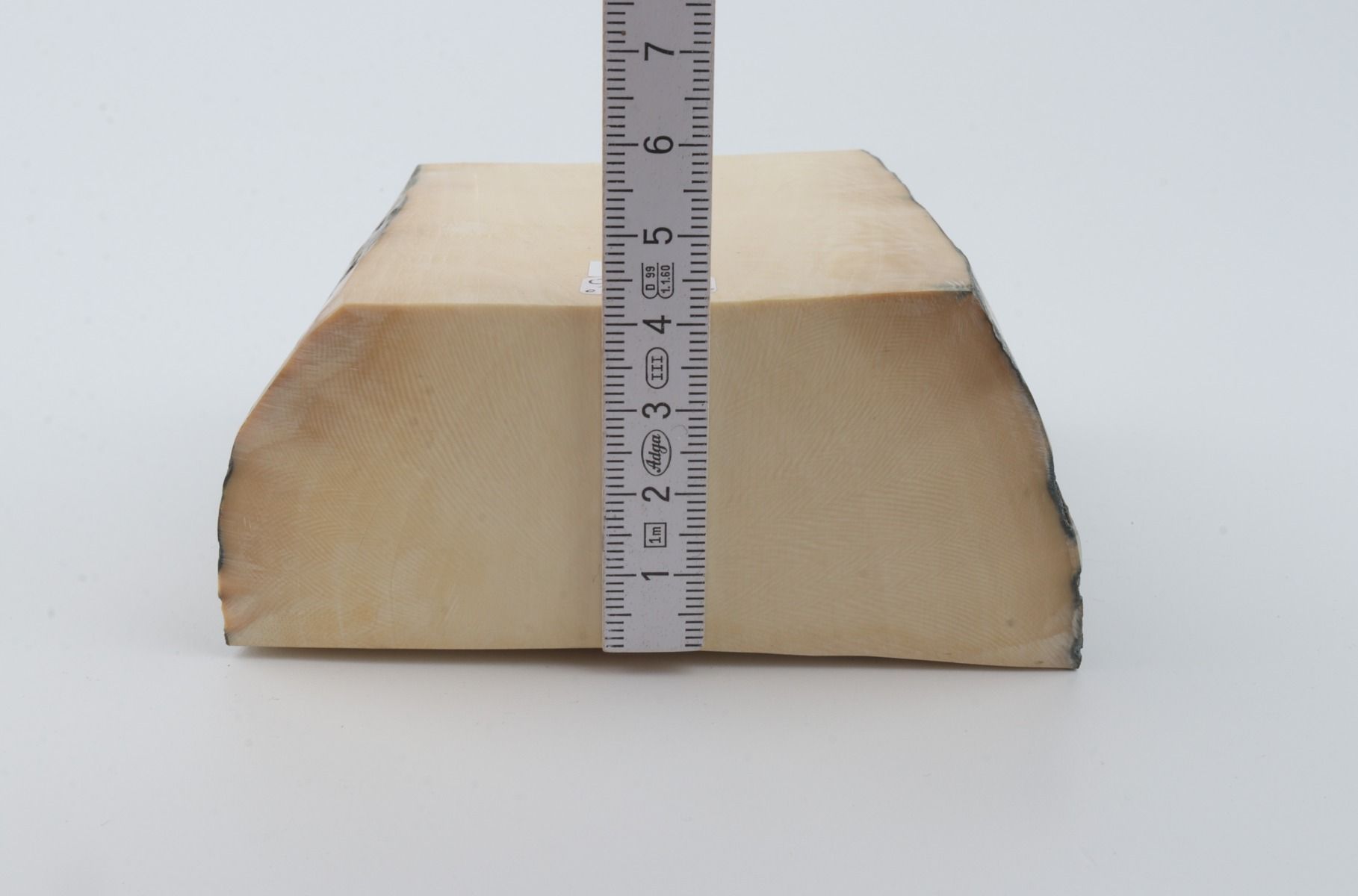 White mammoth ivory segments