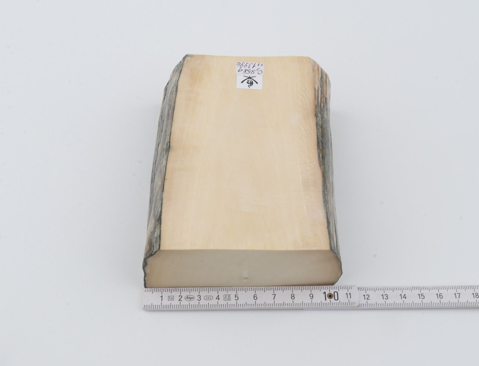 White mammoth ivory segments