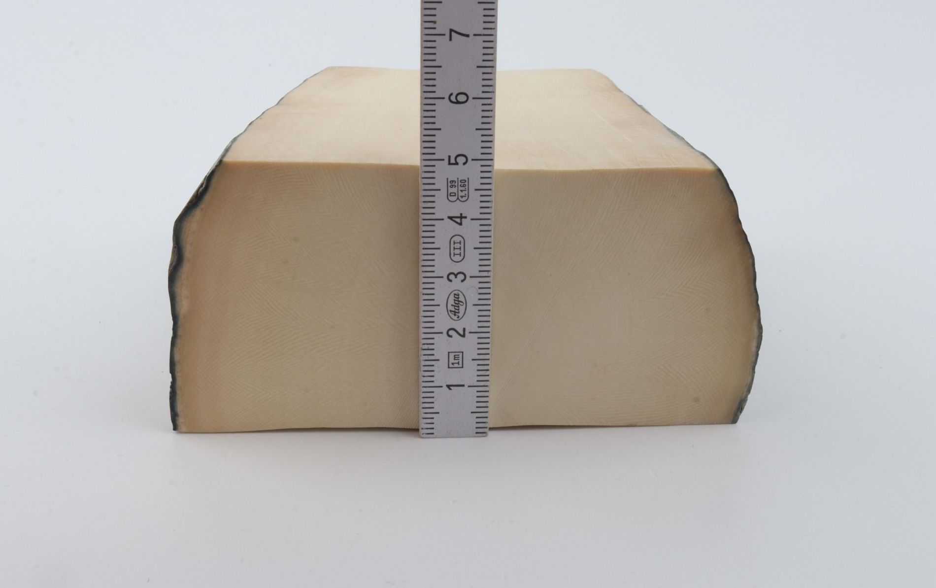 White mammoth ivory segments