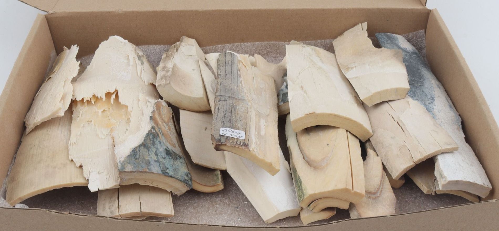 Untreated mammoth ivory offcuts