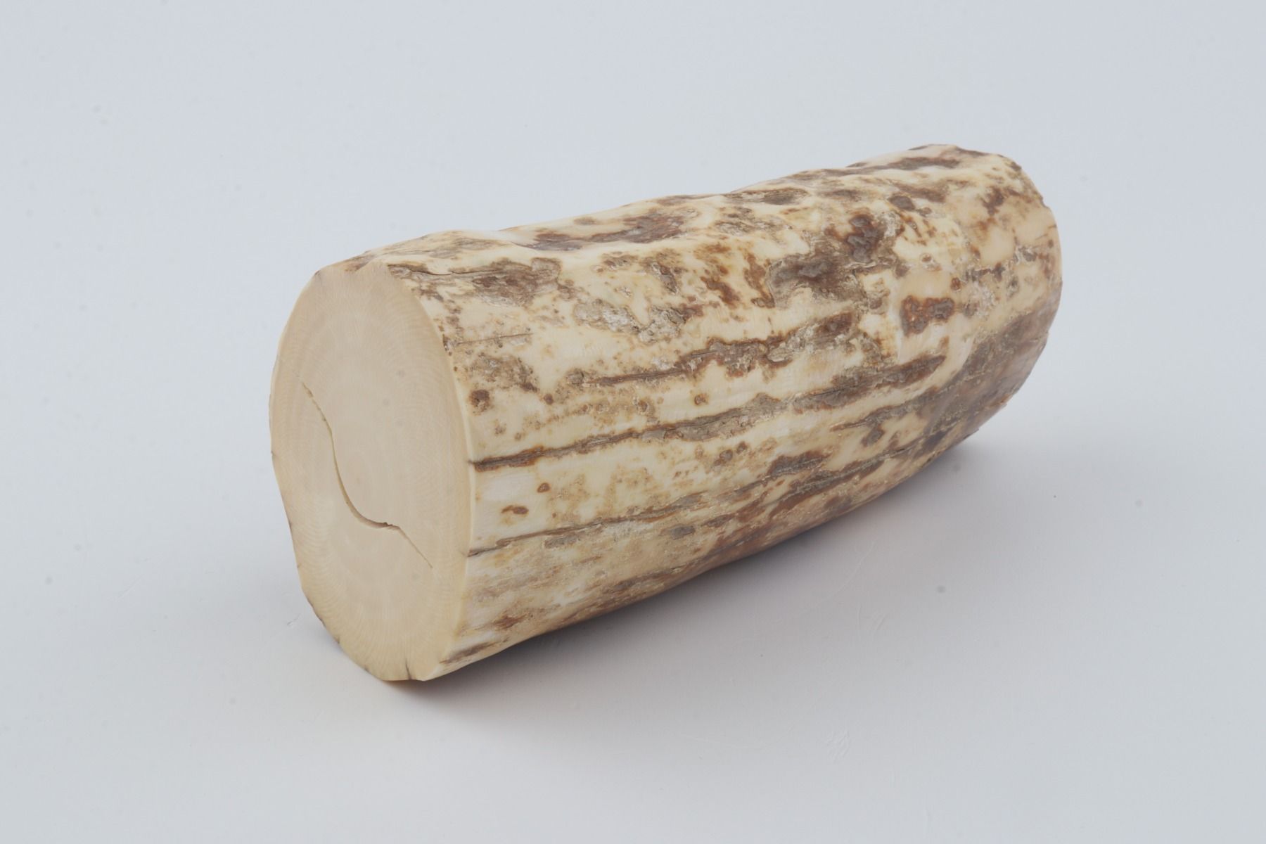 Natural mammoth ivory piece