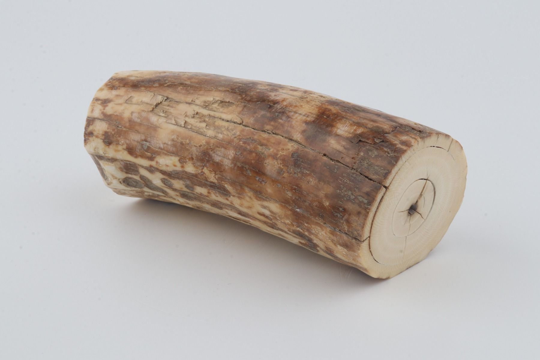 Natural mammoth ivory piece
