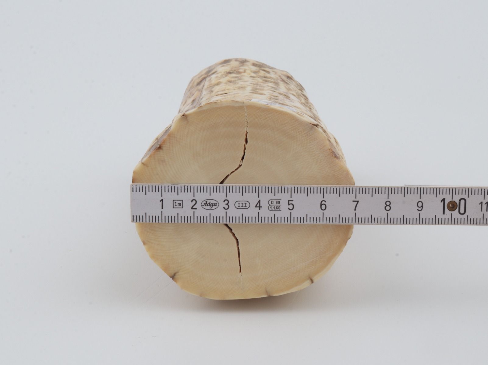 Natural mammoth ivory piece