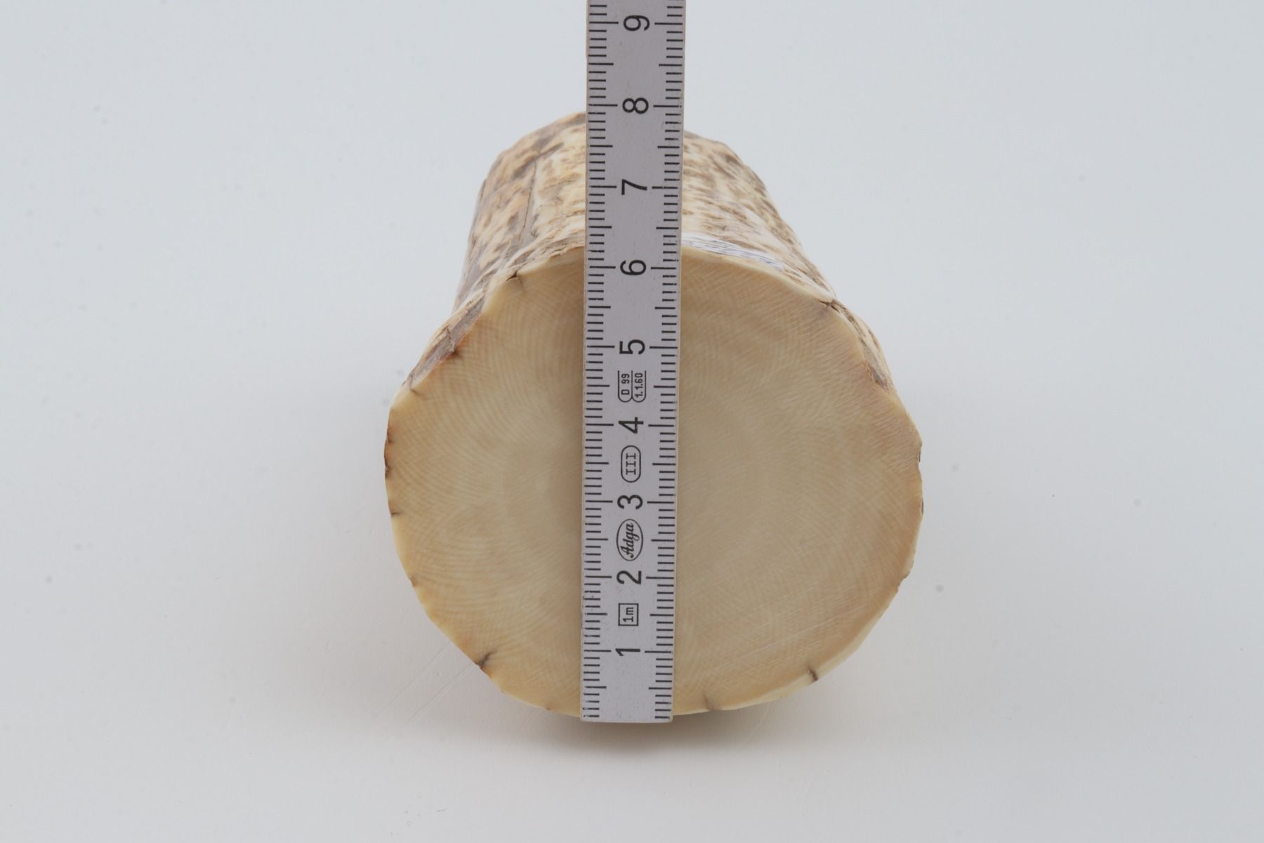 Natural mammoth ivory piece