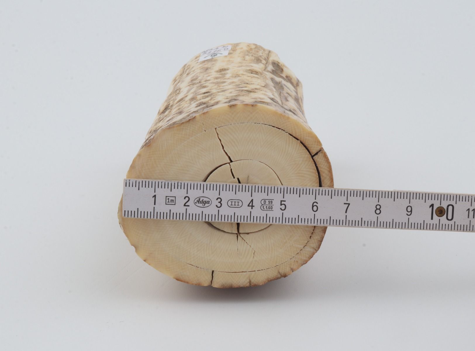 Natural mammoth ivory piece