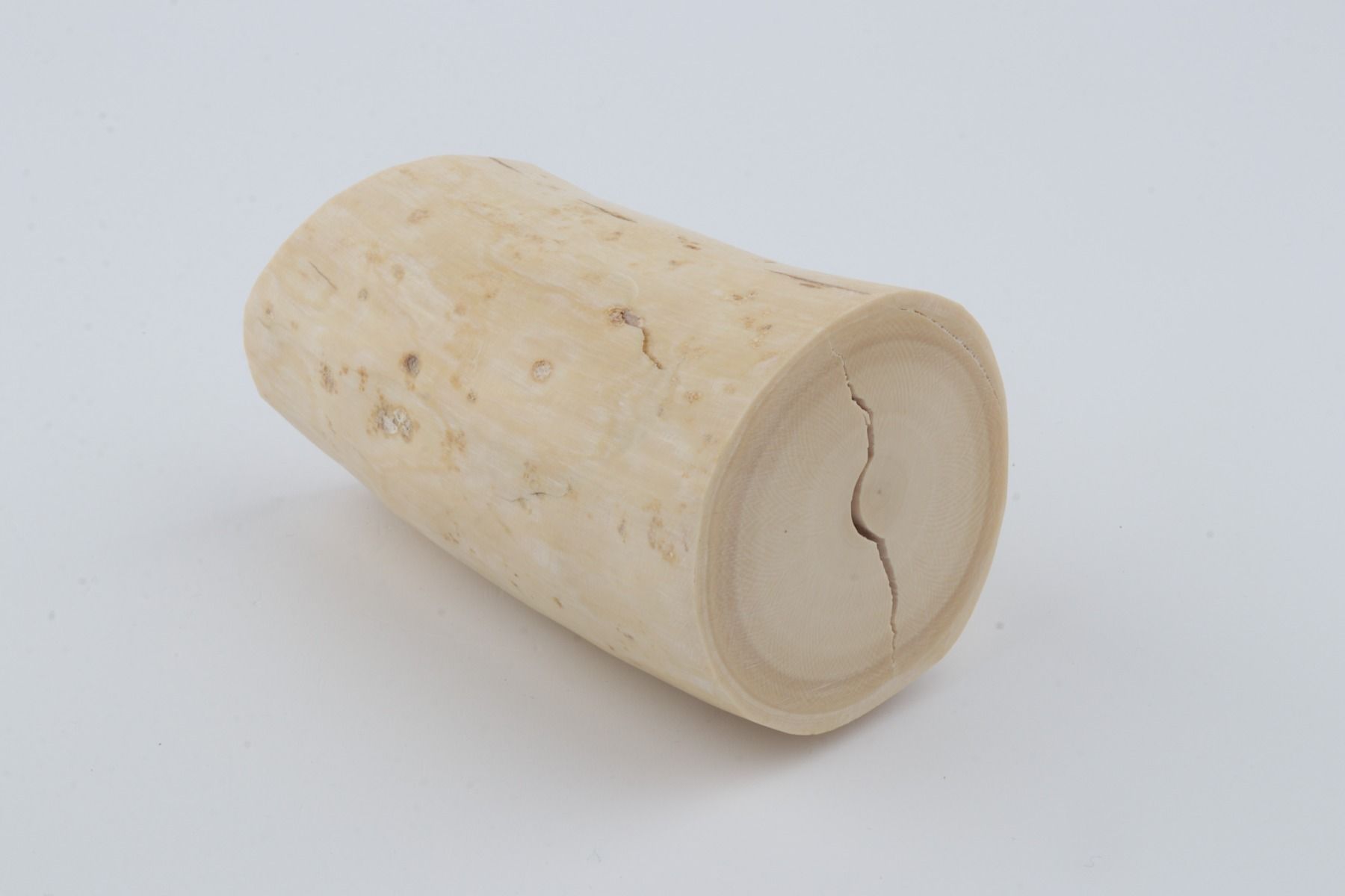 Round mammoth tusk piece