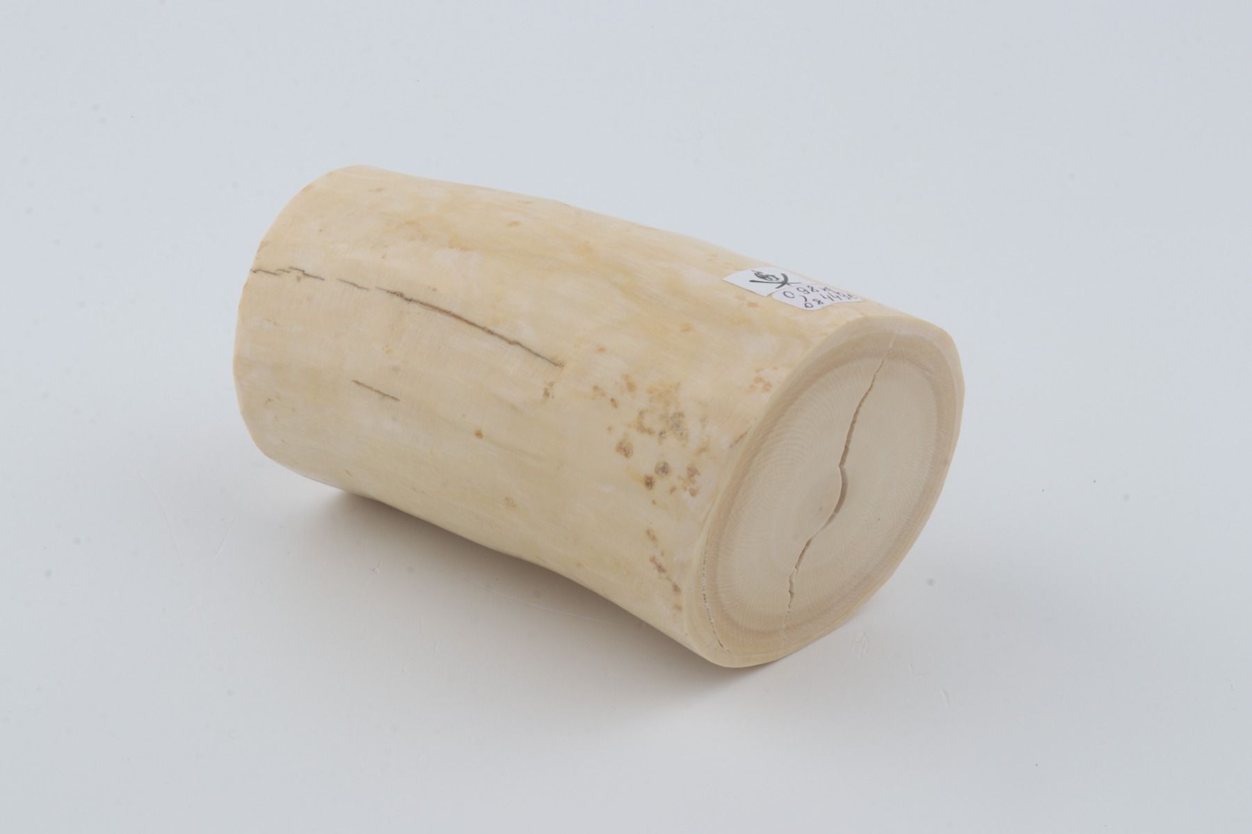 Round mammoth tusk piece