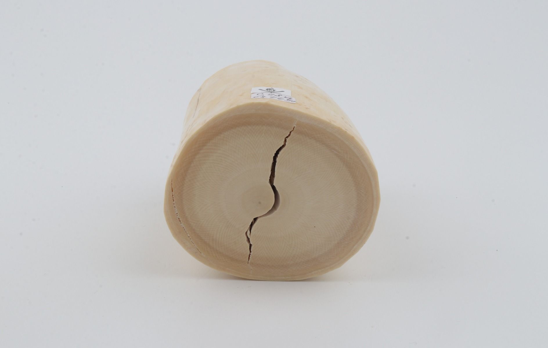 Round mammoth tusk piece