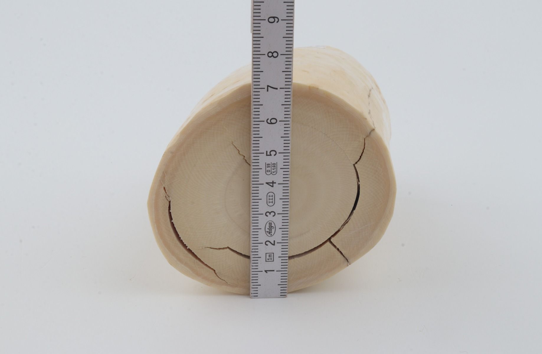 Round mammoth tusk piece