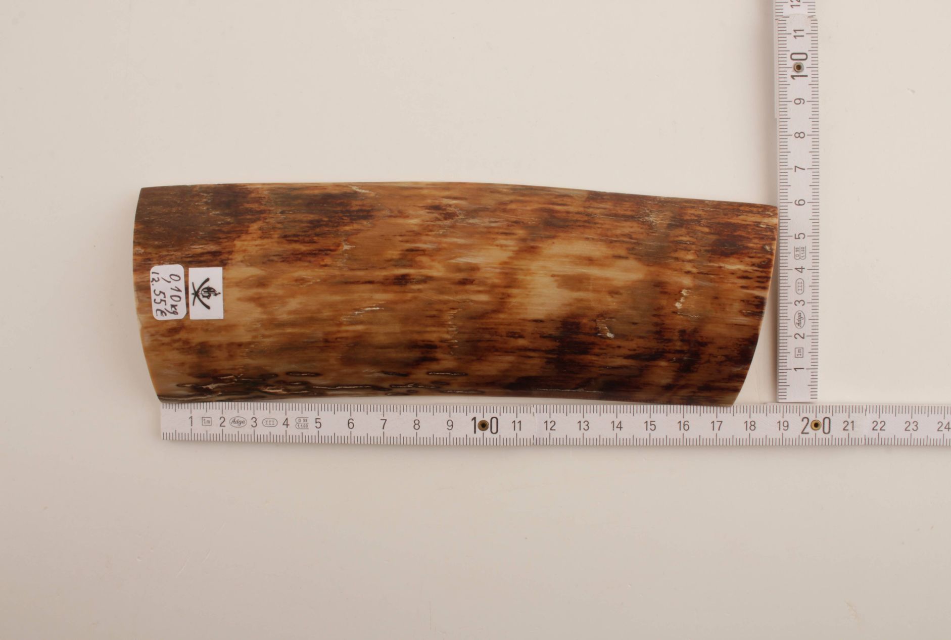 Beige-brown mammoth bark