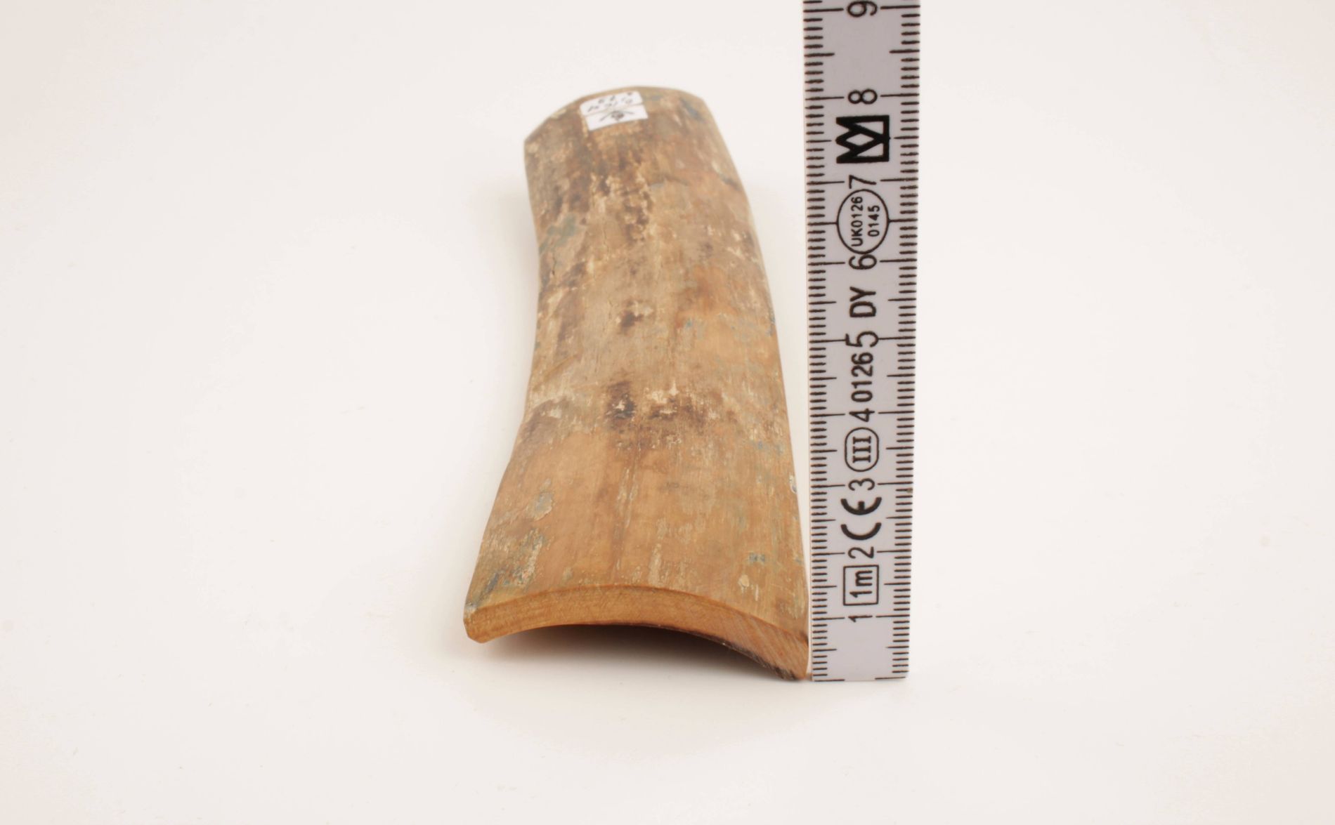 Beige-brown mammoth bark