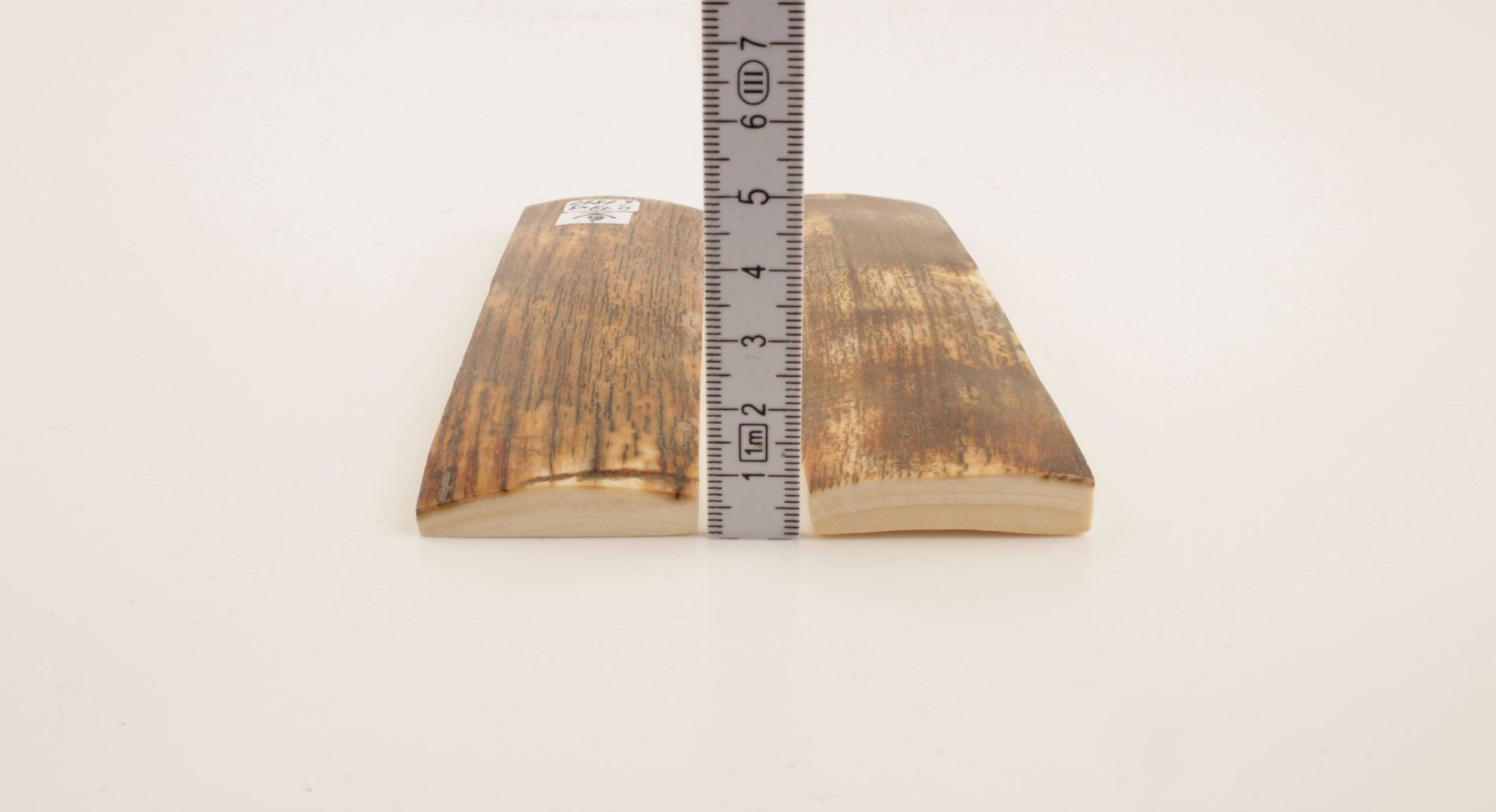 Brown-orange natural mammoth bark scales