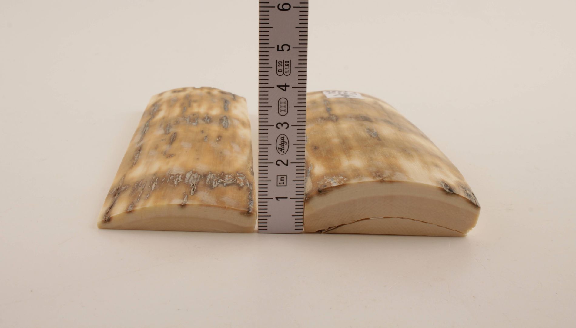 Beige-cream natural mammoth bark scales