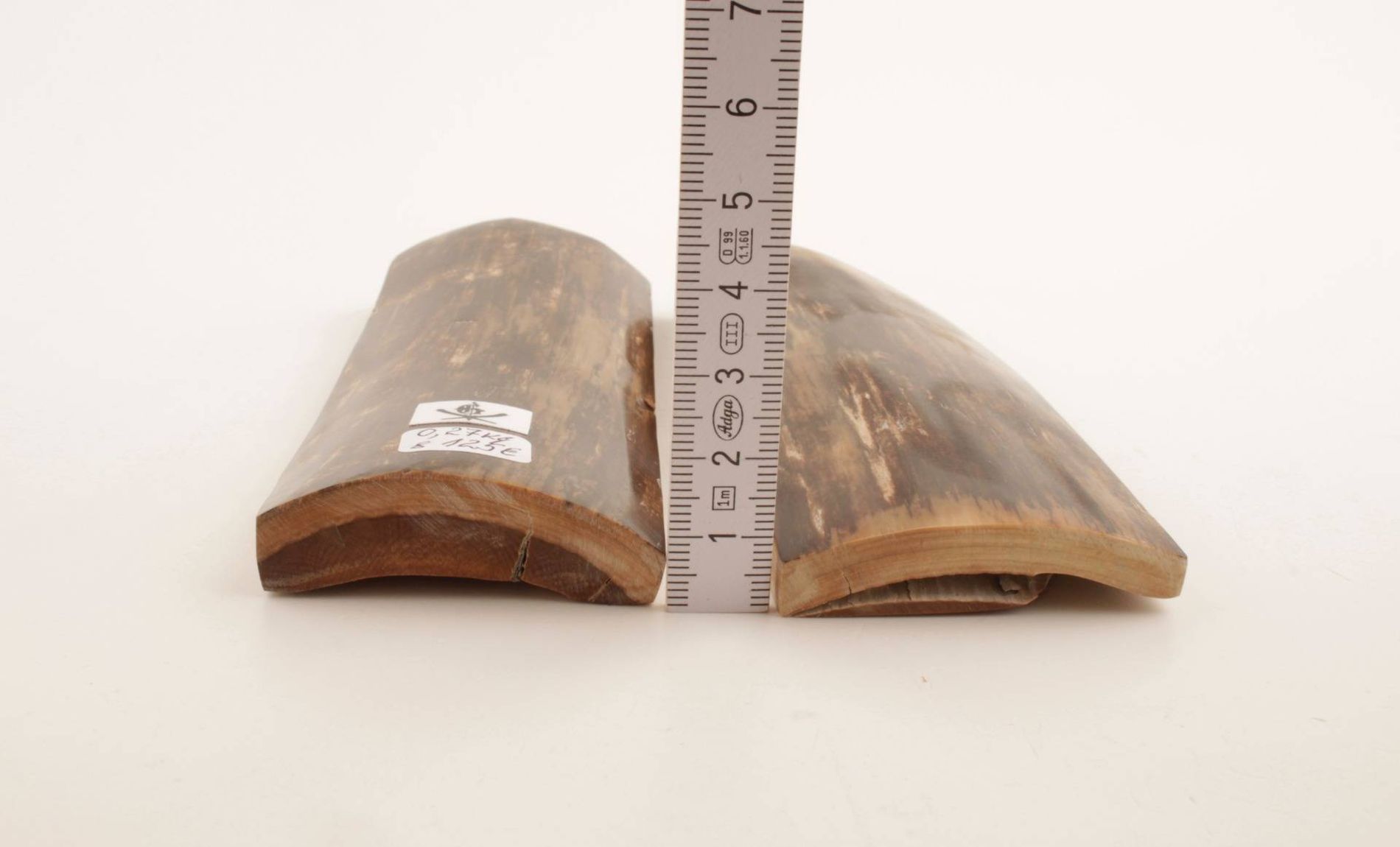 Natural brown mammoth bark scales