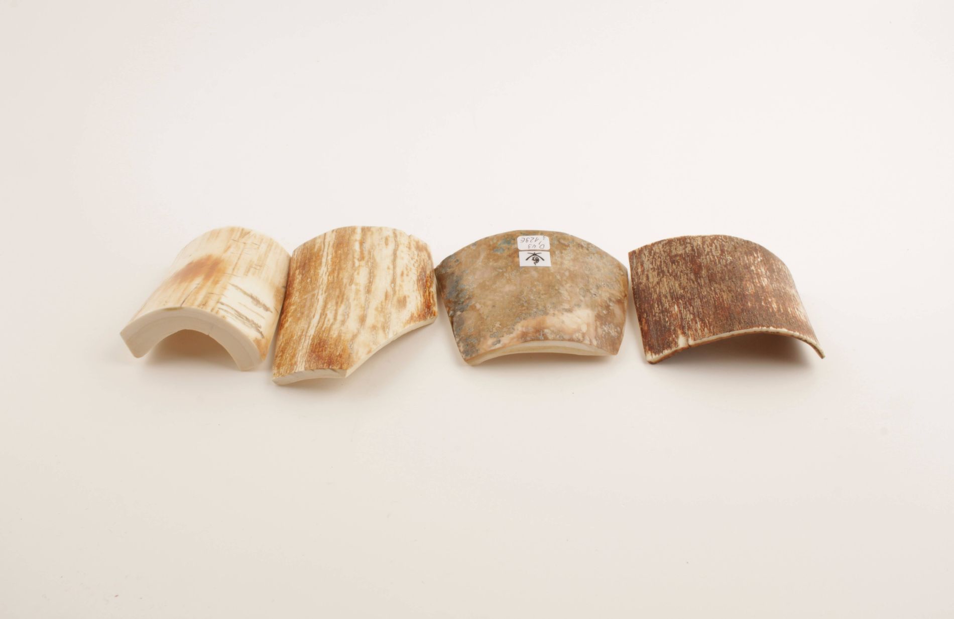 Beige-brown mammoth bark pieces