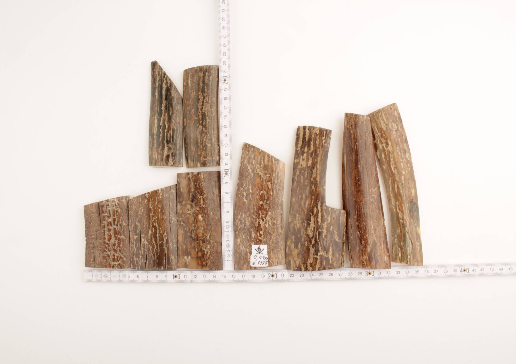 Brown mammoth bark pieces