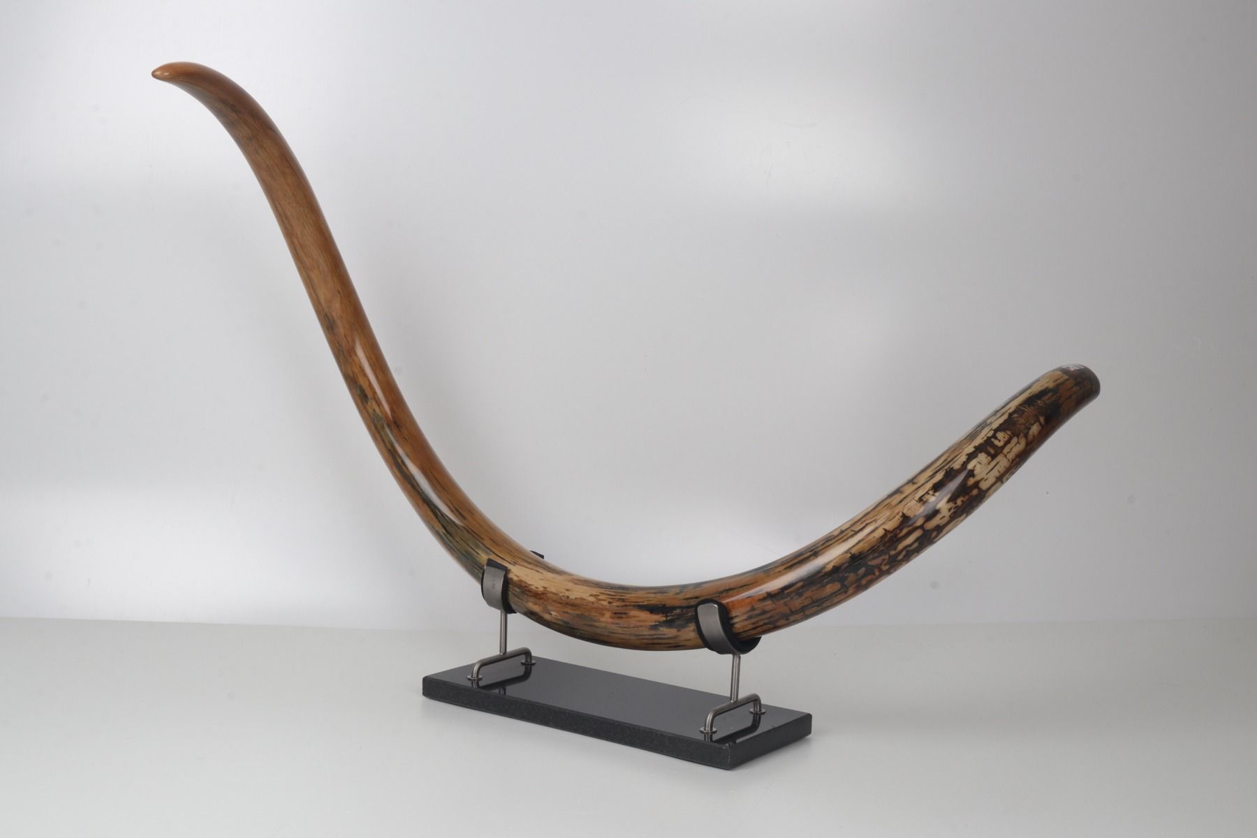 Restored woolly mammoth tusk