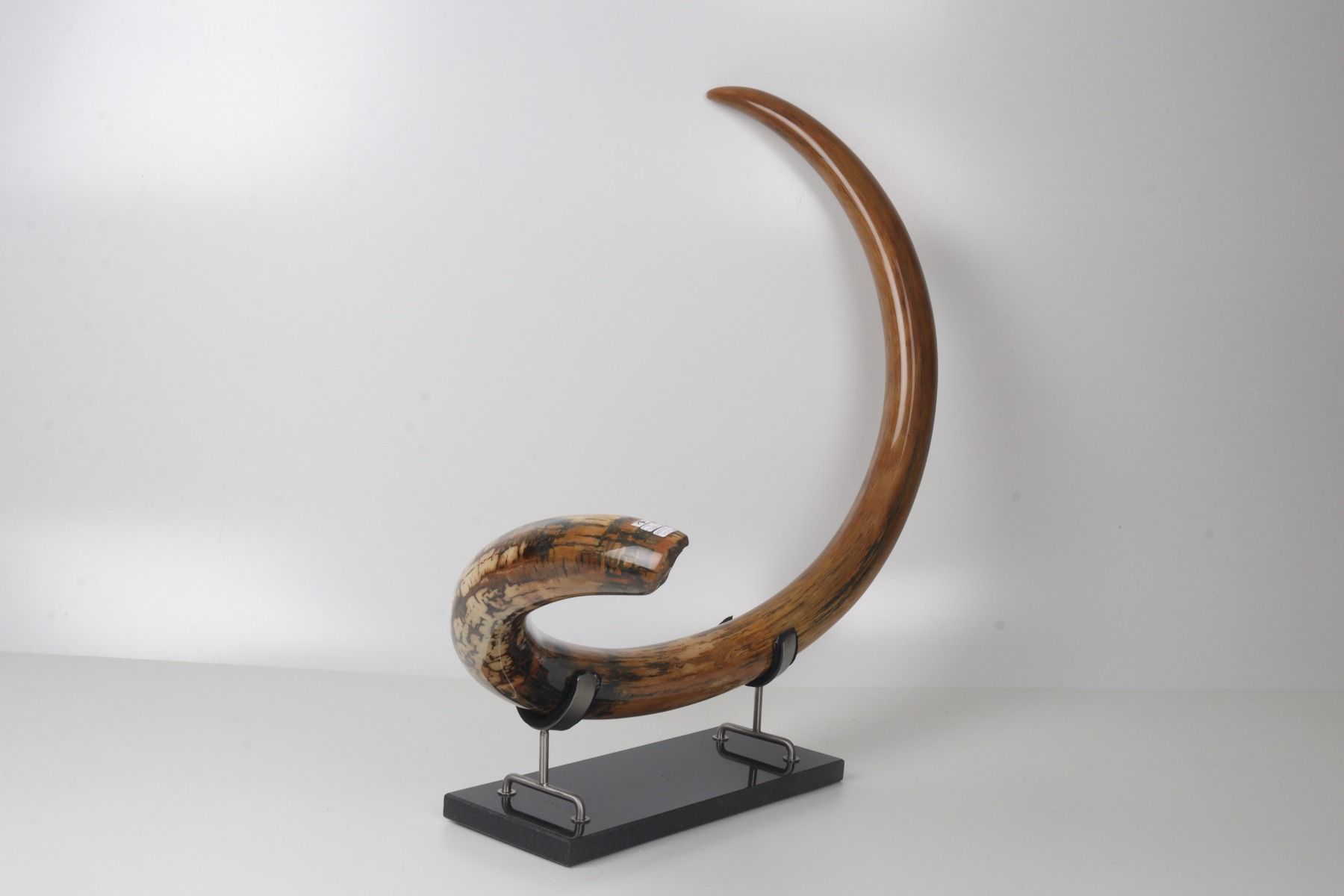 Restored woolly mammoth tusk