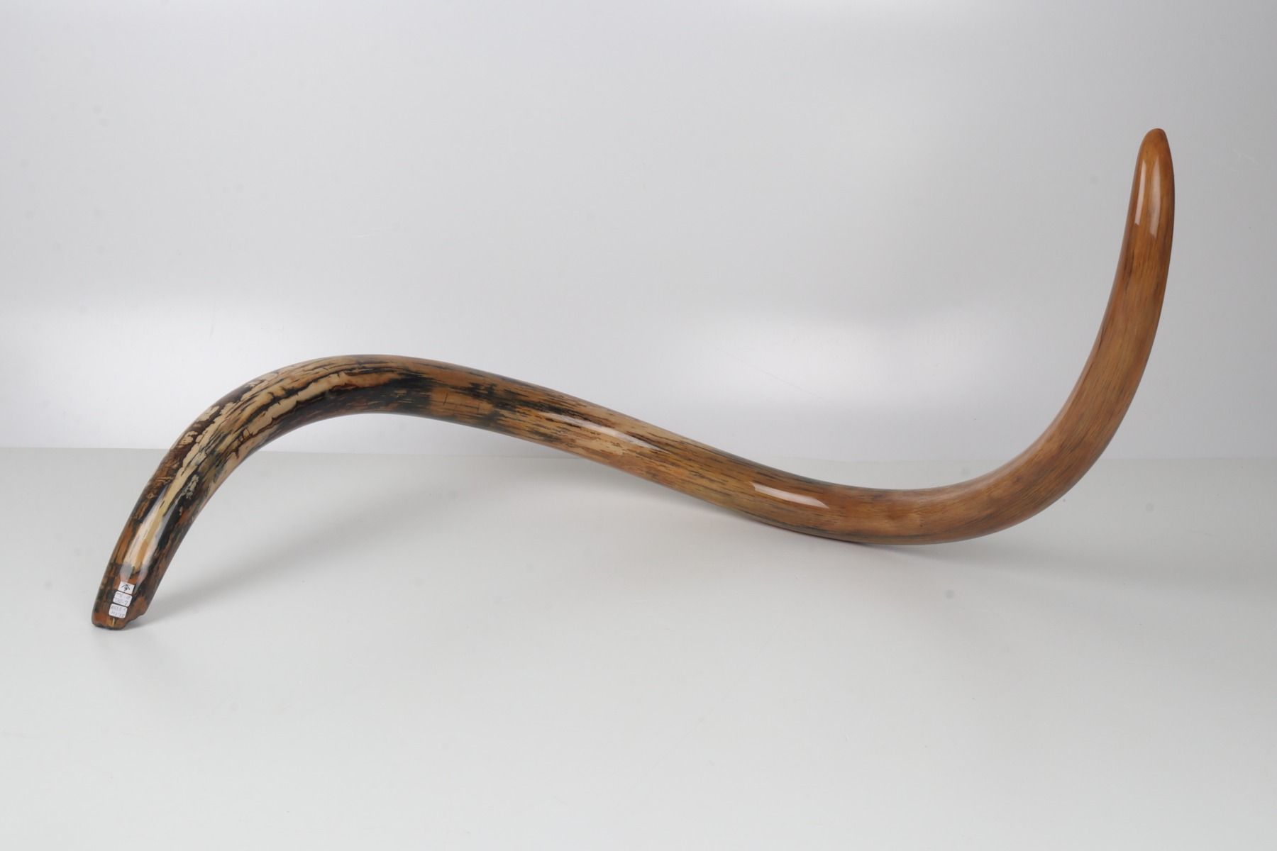 Restored woolly mammoth tusk