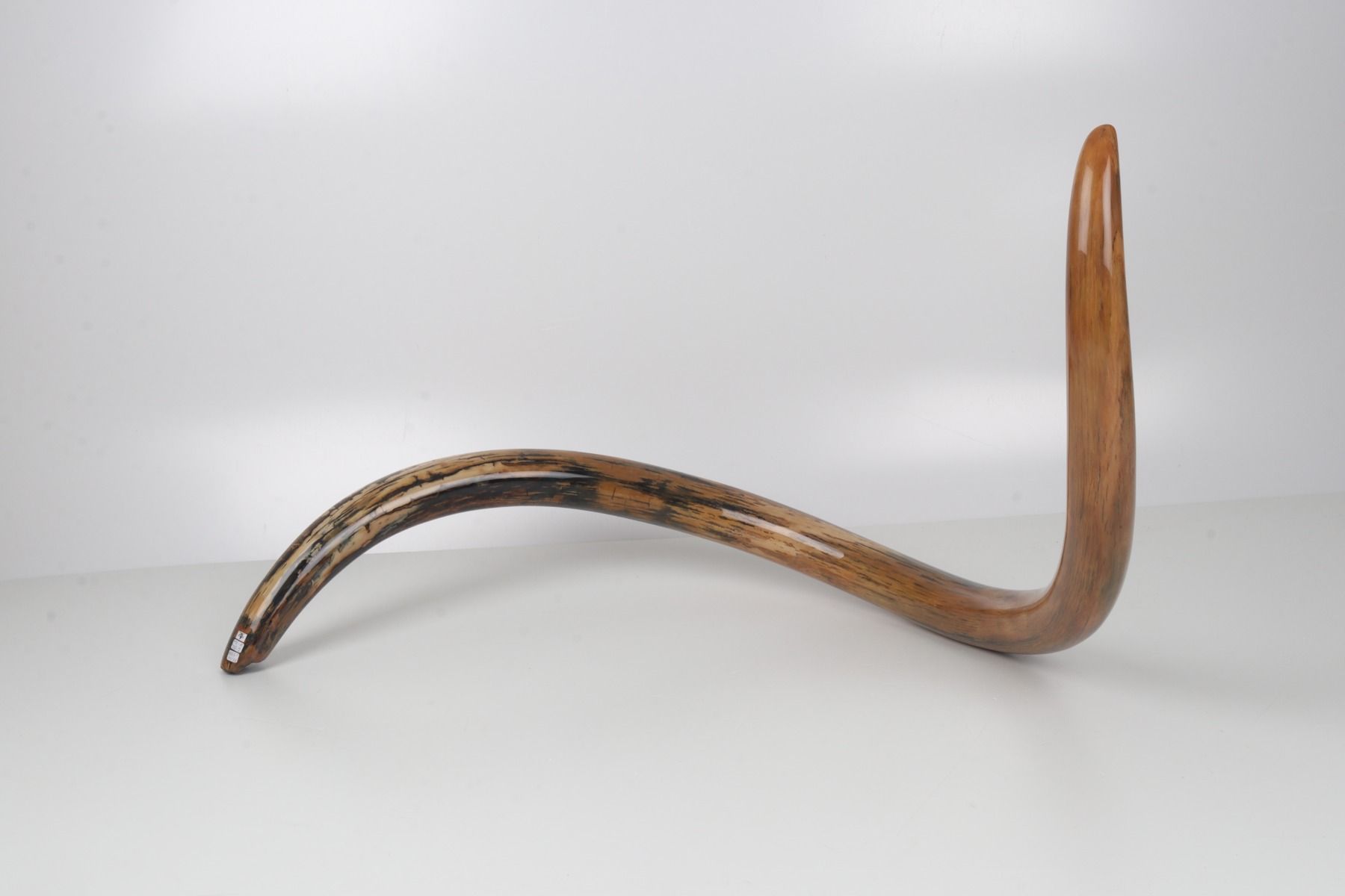 Restored woolly mammoth tusk
