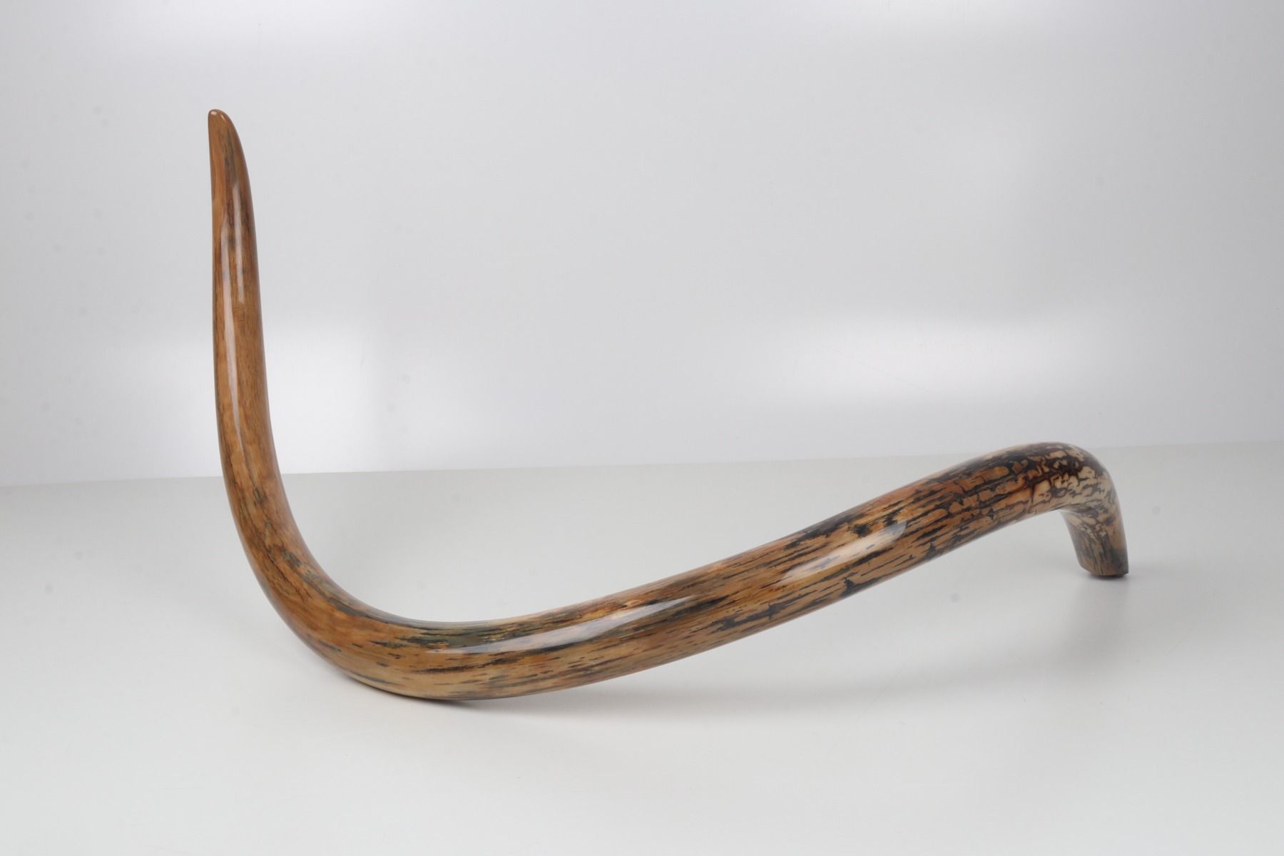 Restored woolly mammoth tusk