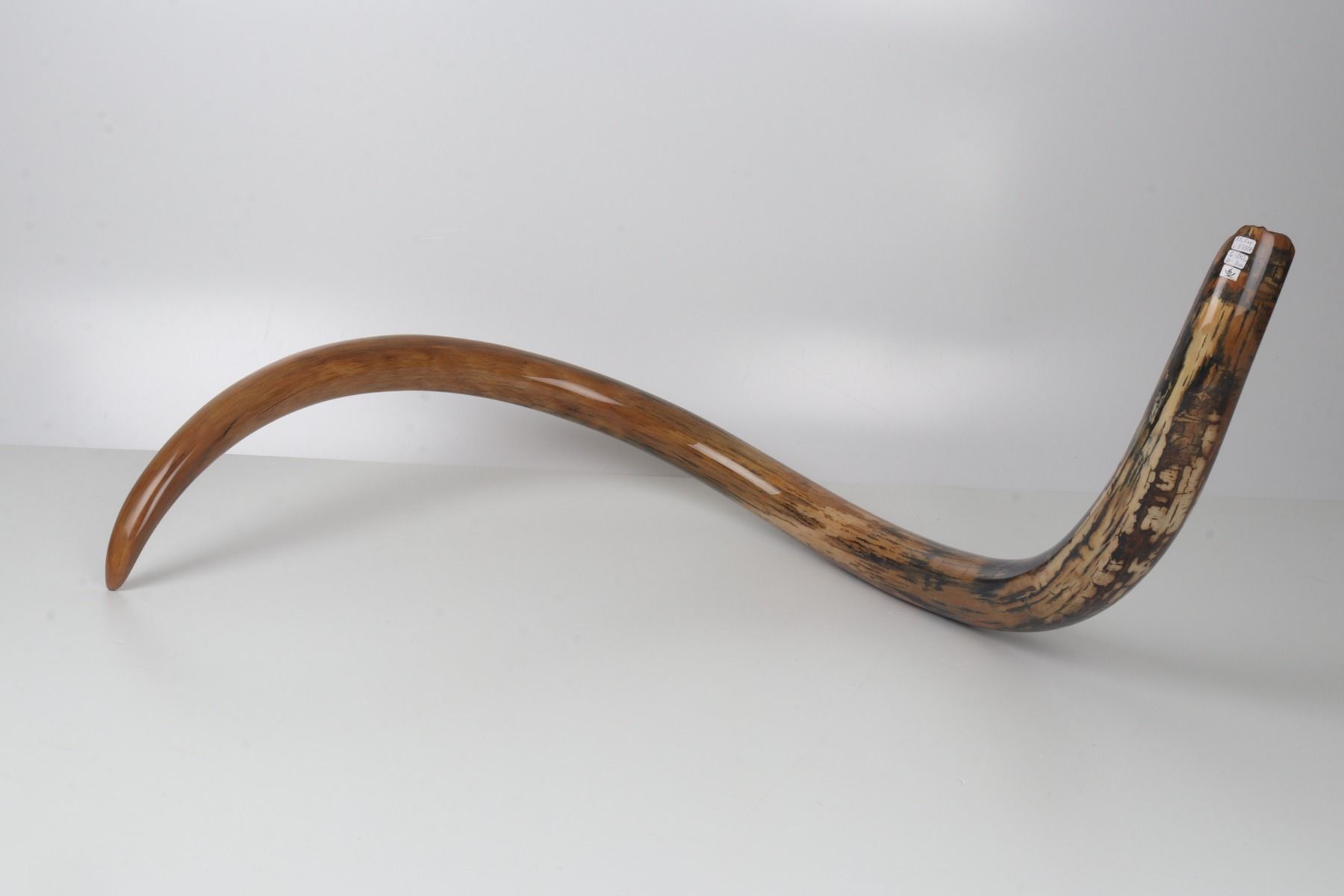 Restored woolly mammoth tusk