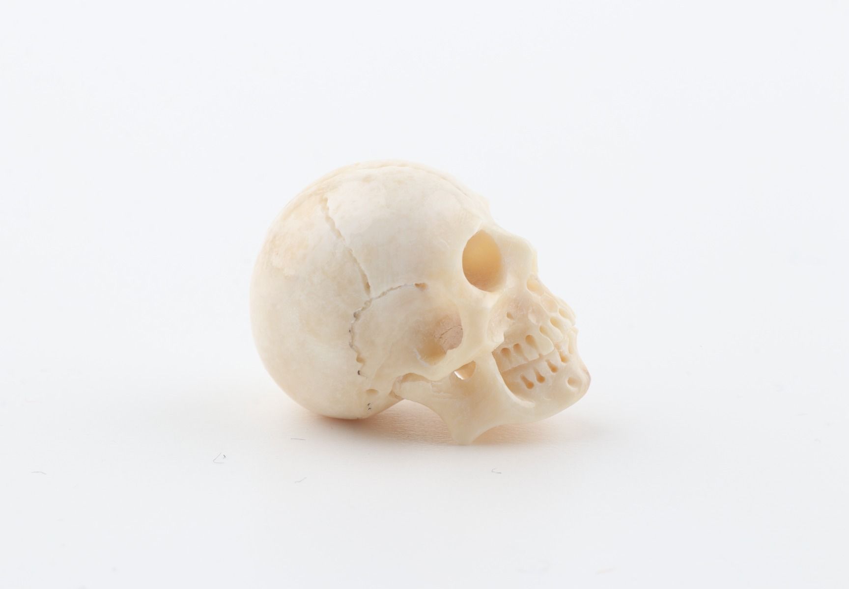 Hand carved mammoth ivory skull
