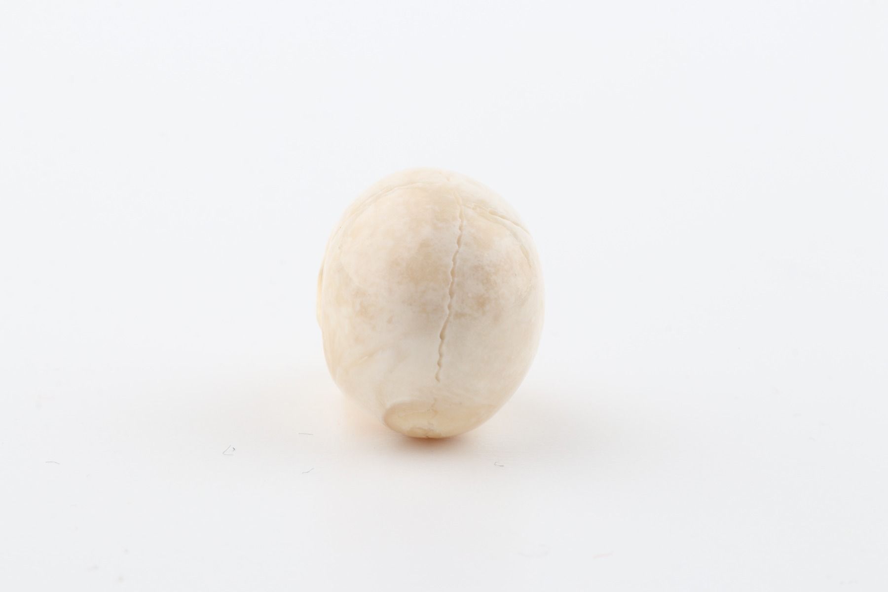 Hand carved mammoth ivory skull