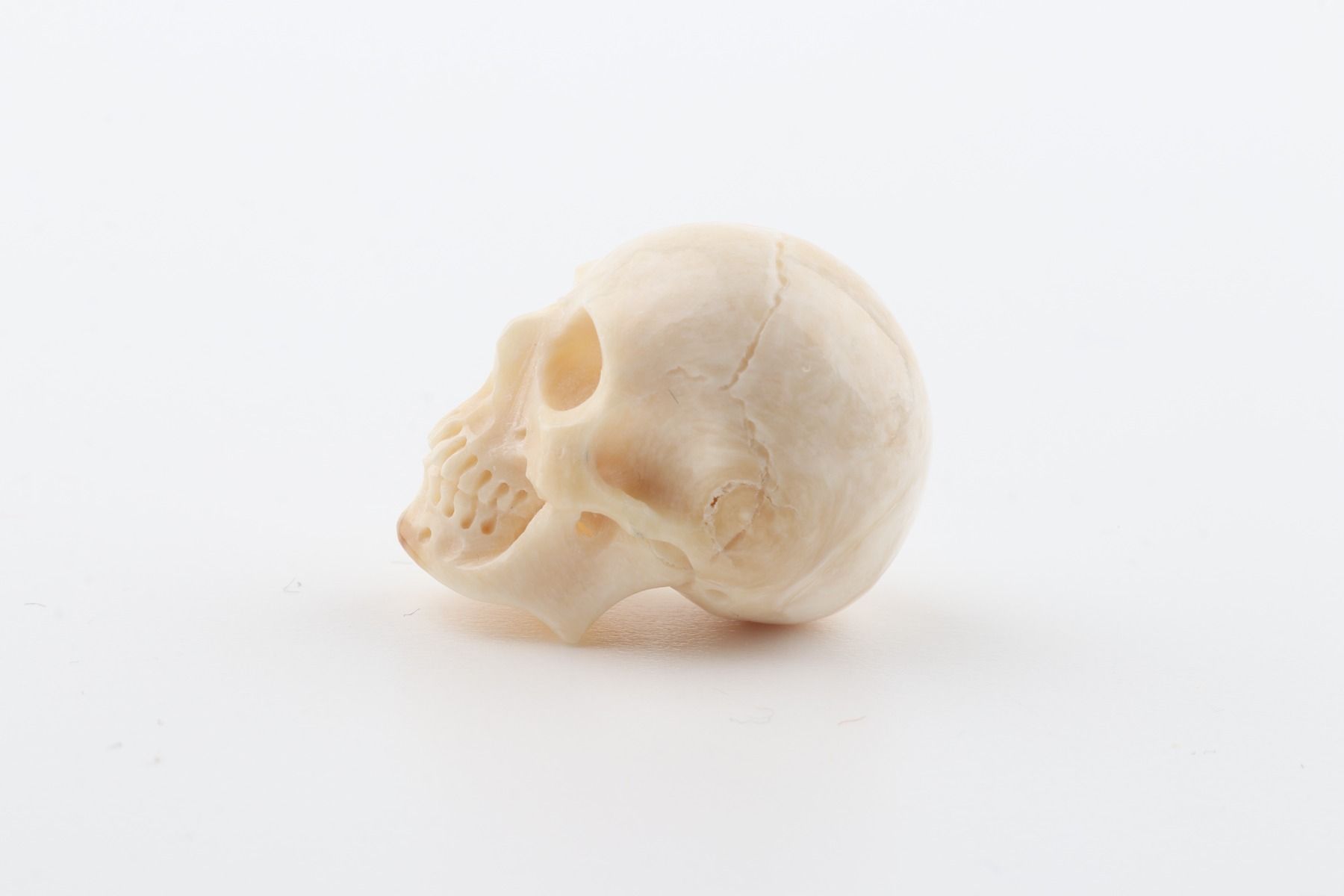Hand carved mammoth ivory skull
