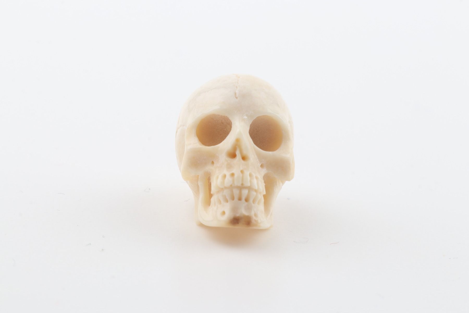 Hand carved mammoth ivory skull