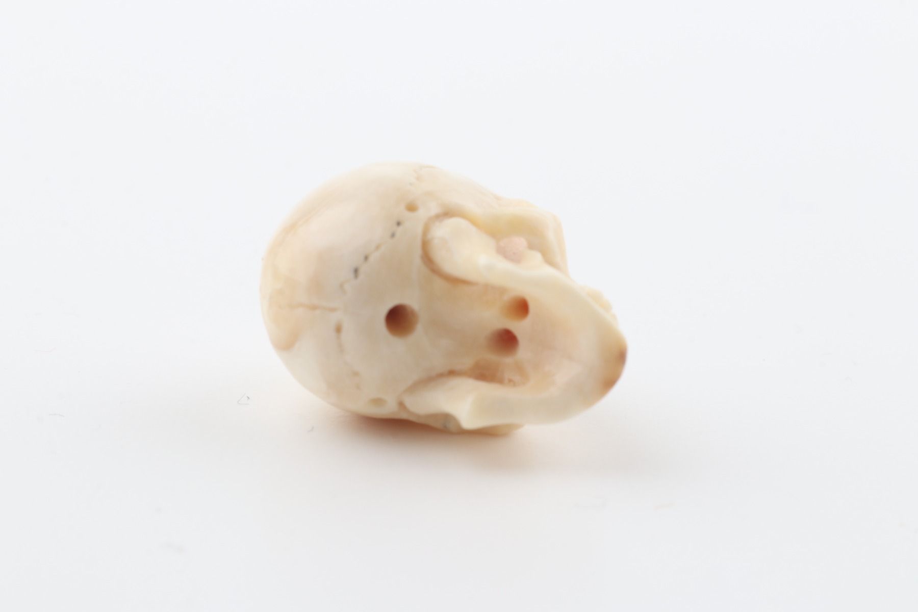 Hand carved mammoth ivory skull
