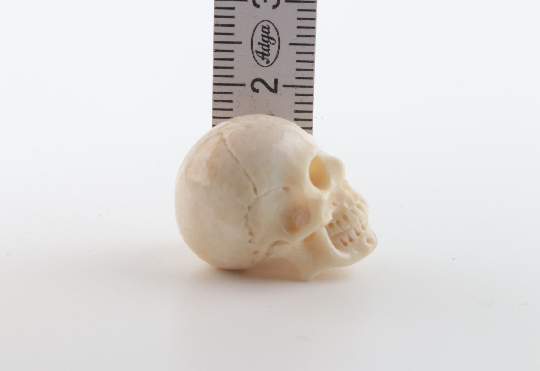 Hand carved mammoth ivory skull