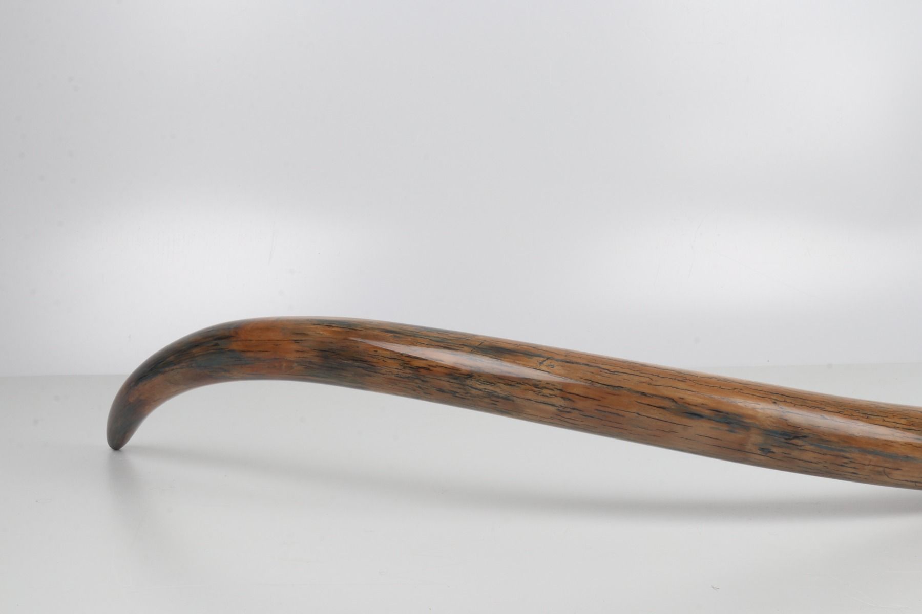 Restored woolly mammoth tusk