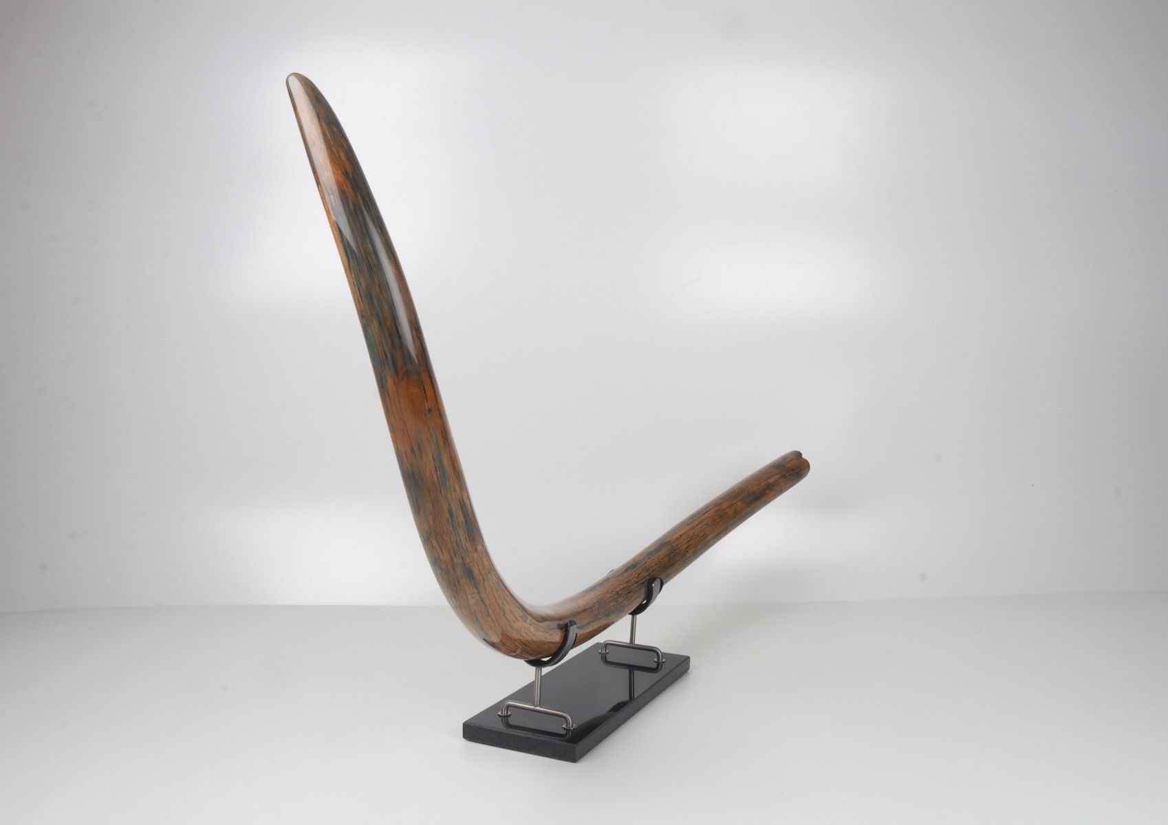 Restored woolly mammoth tusk