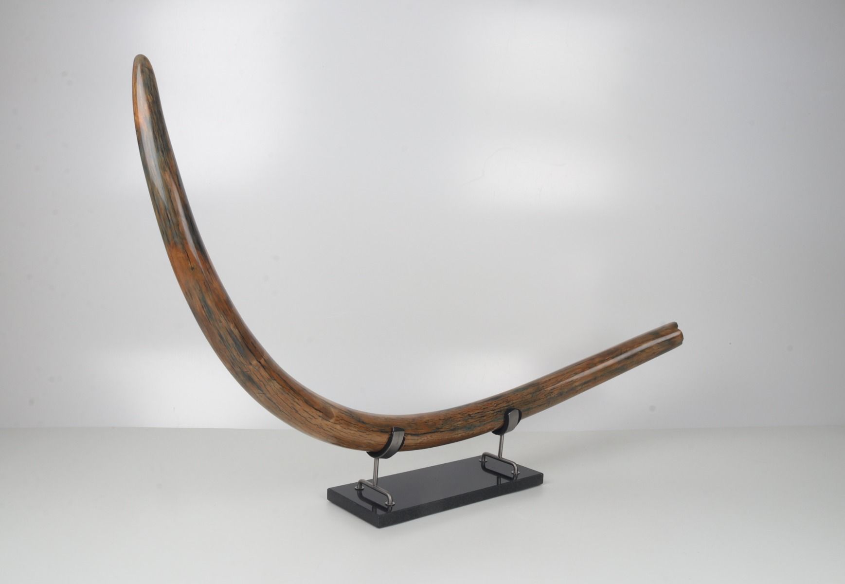 Restored woolly mammoth tusk