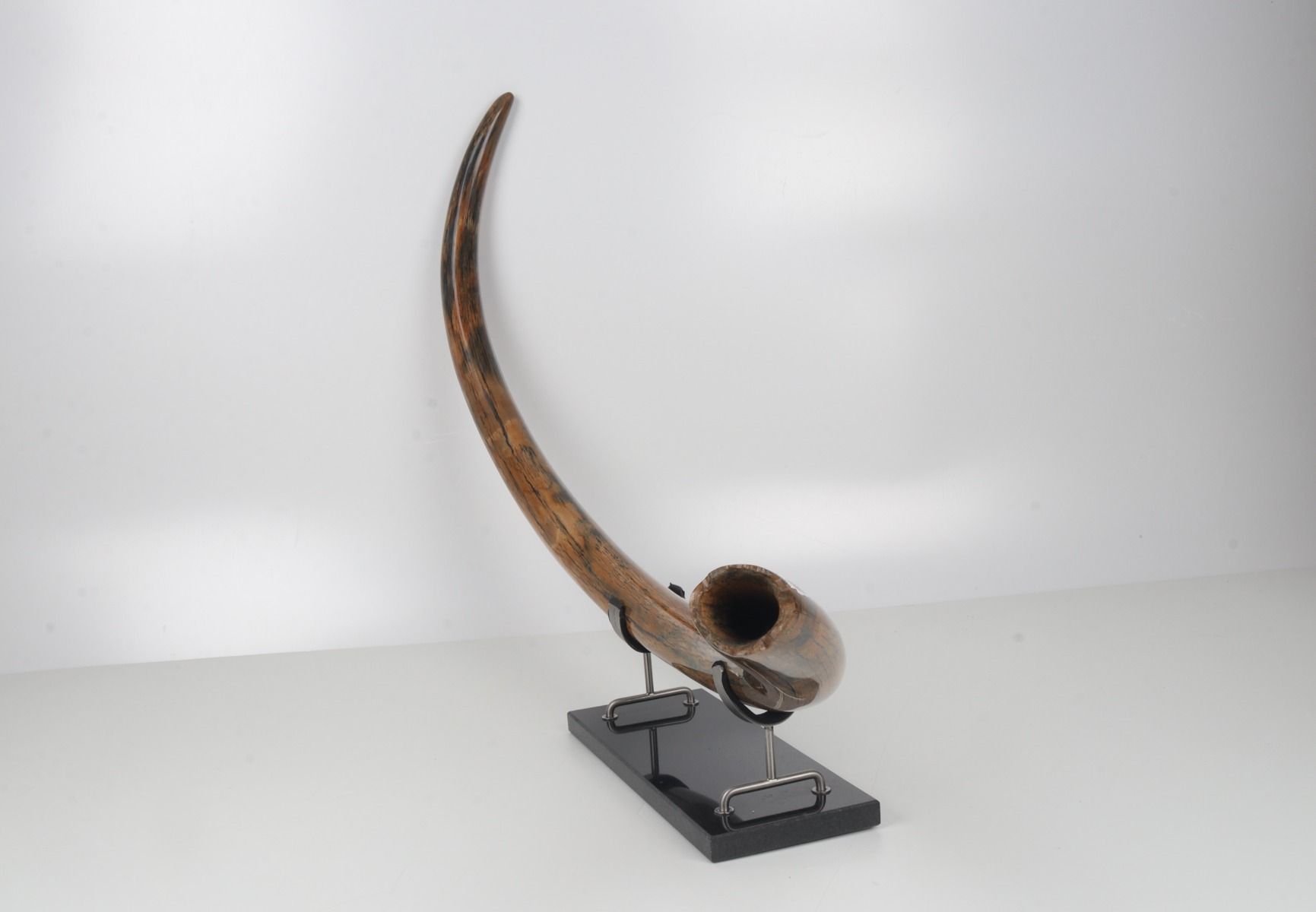 Restored woolly mammoth tusk
