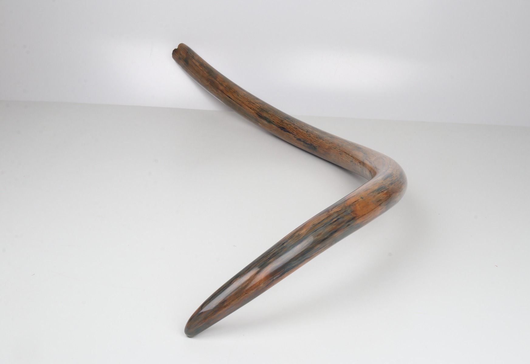 Restored woolly mammoth tusk