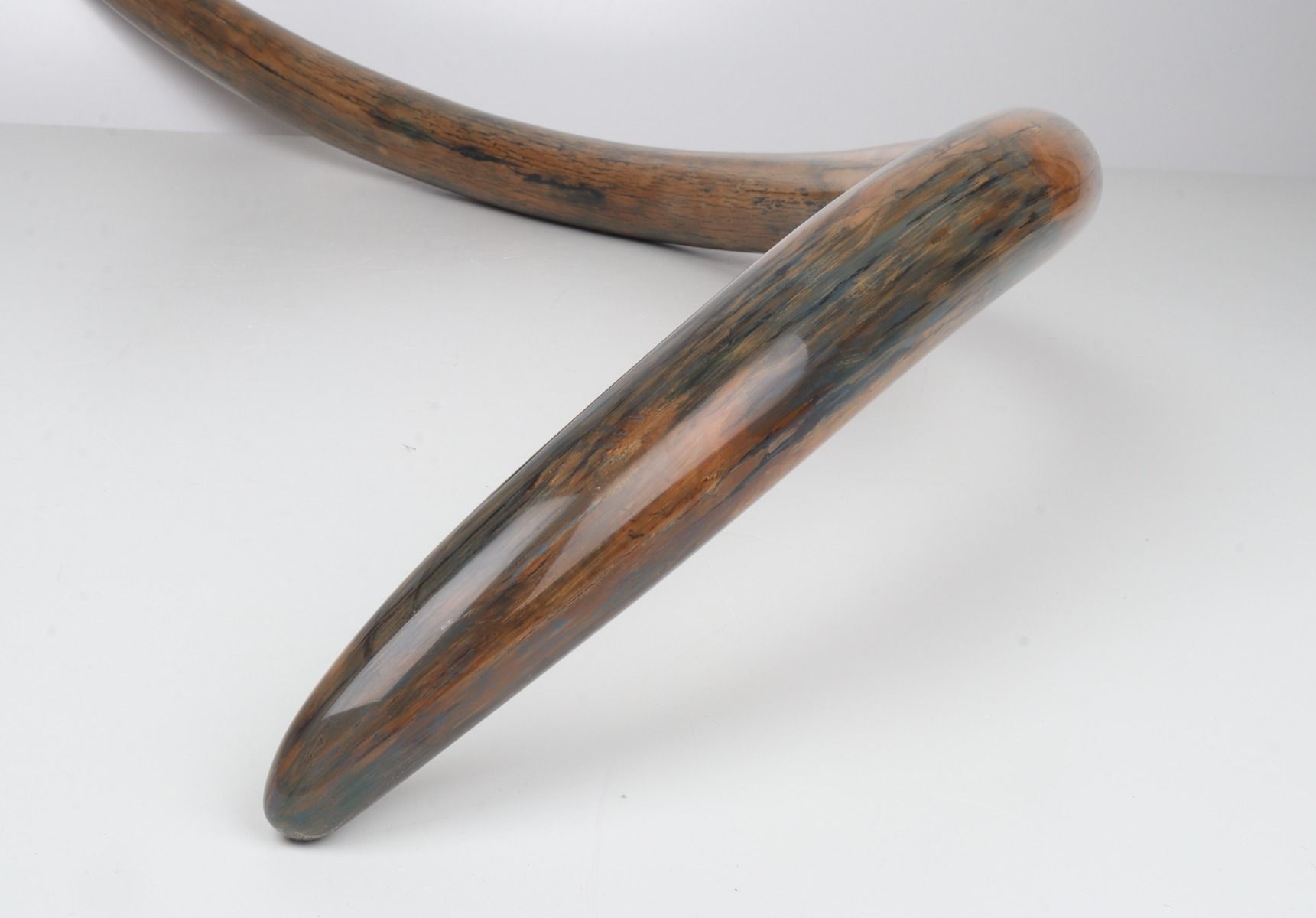 Restored woolly mammoth tusk