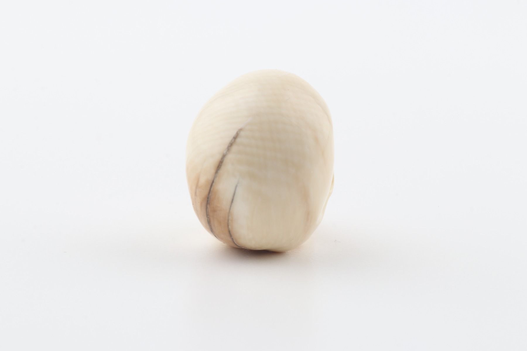 Hand carved mammoth ivory skull