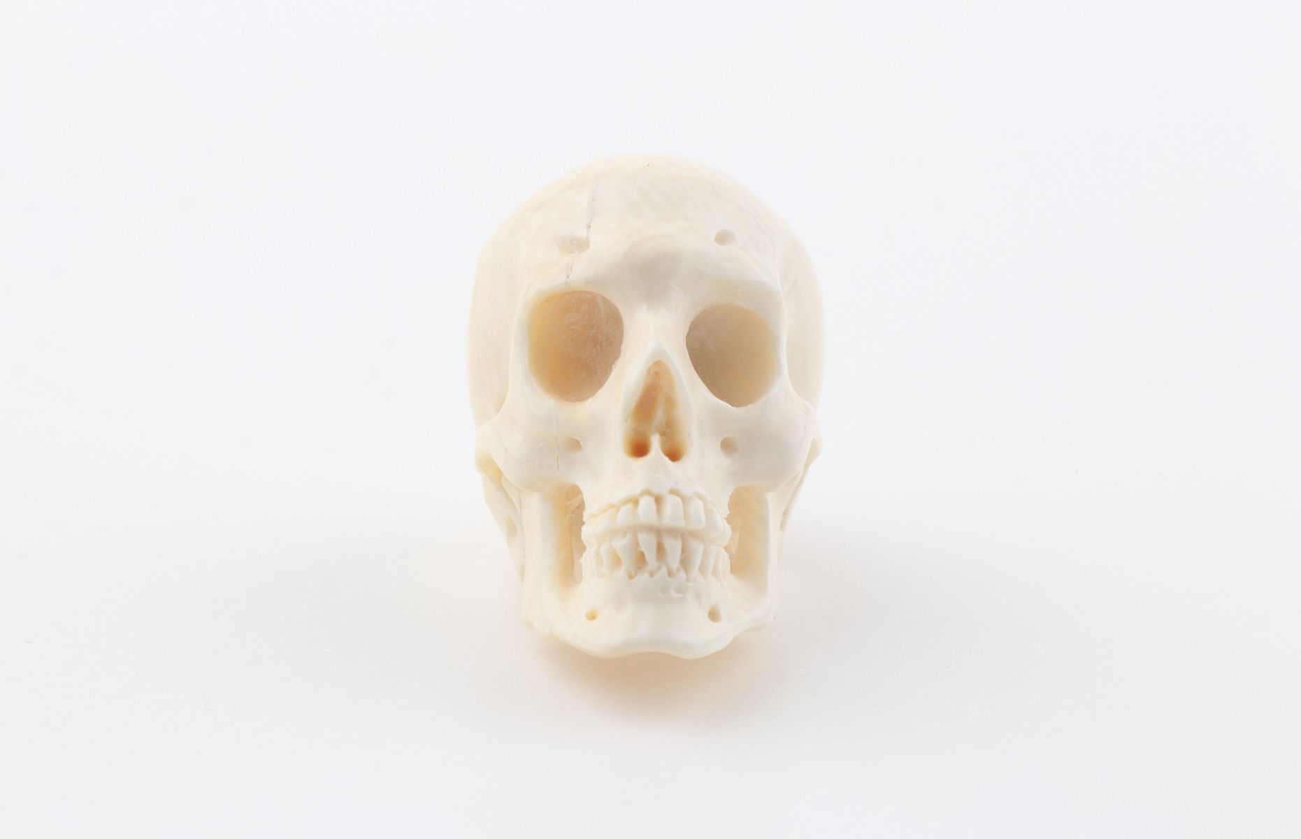 Hand carved mammoth ivory skull