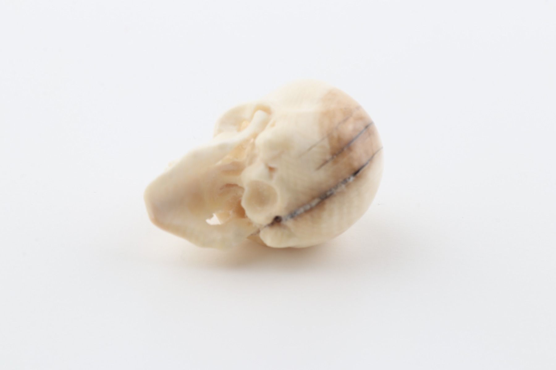 Hand carved mammoth ivory skull