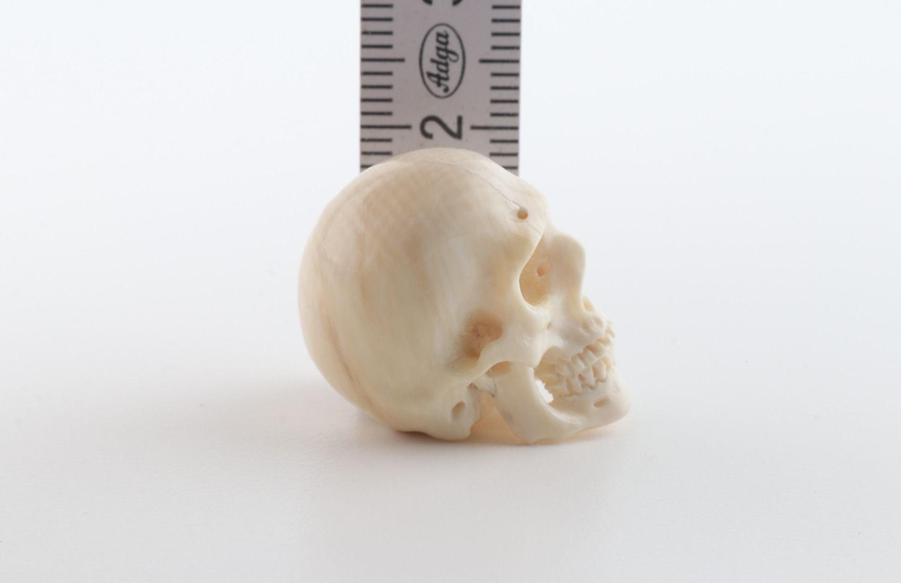 Hand carved mammoth ivory skull