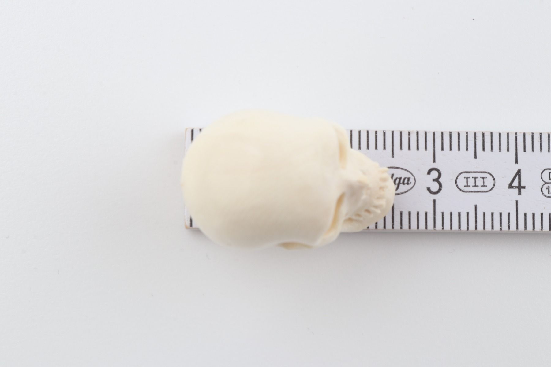 Hand carved mammoth ivory skull