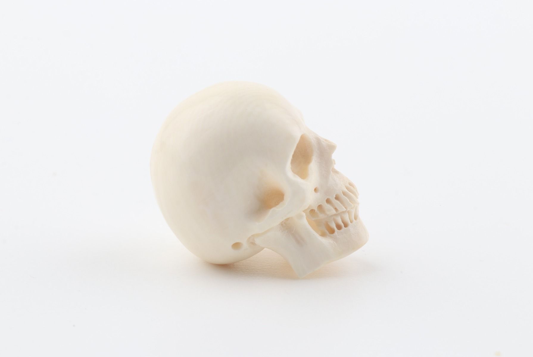 Hand carved mammoth ivory skull