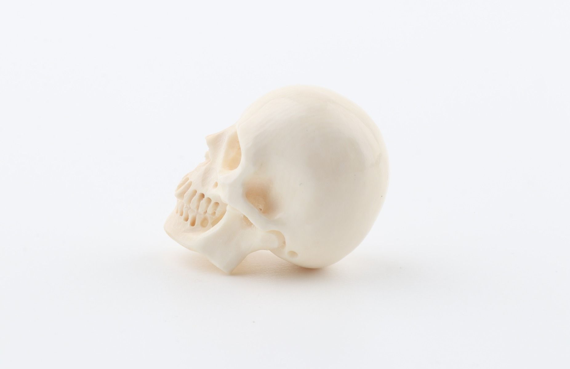 Hand carved mammoth ivory skull
