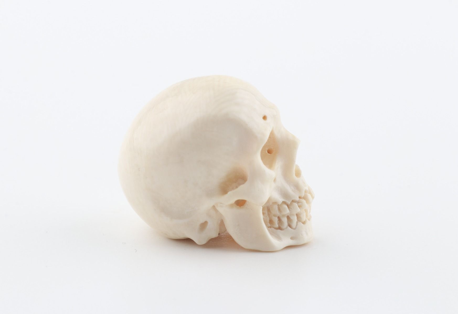 Carved woolly mammoth ivory skull 