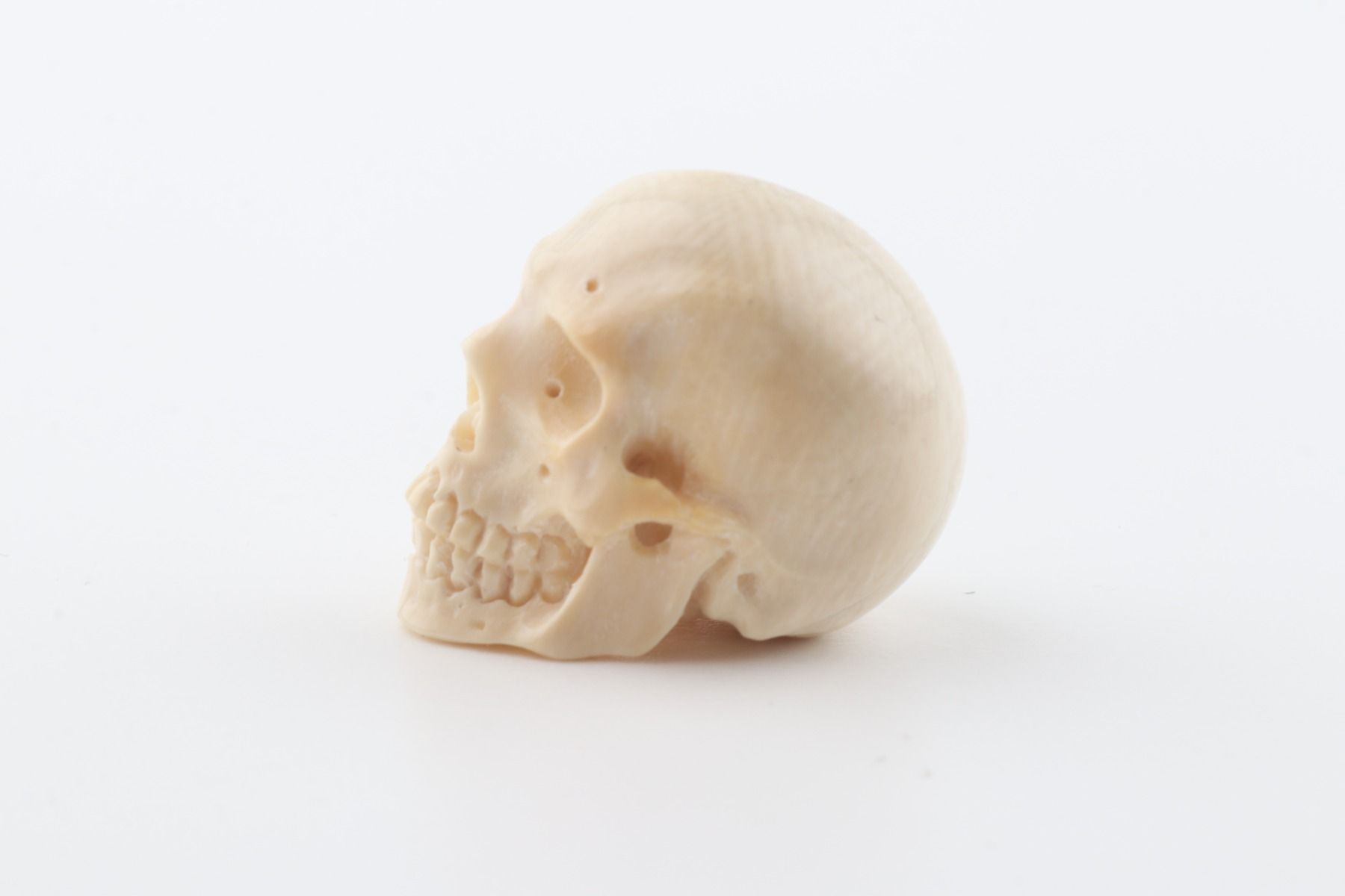 Carved woolly mammoth ivory skull 