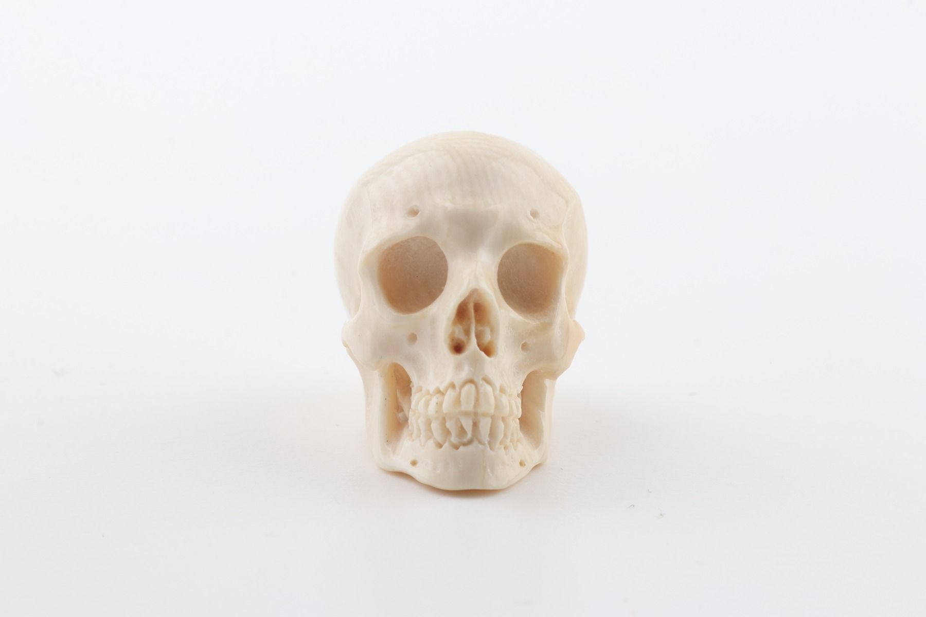Carved woolly mammoth ivory skull 